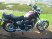 1983 Honda VT 500 C (reduced effect) photo